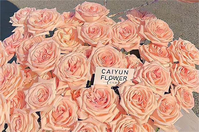 皇冠信用盘如何开户_期权的交易时间是什么时候皇冠信用盘如何开户?