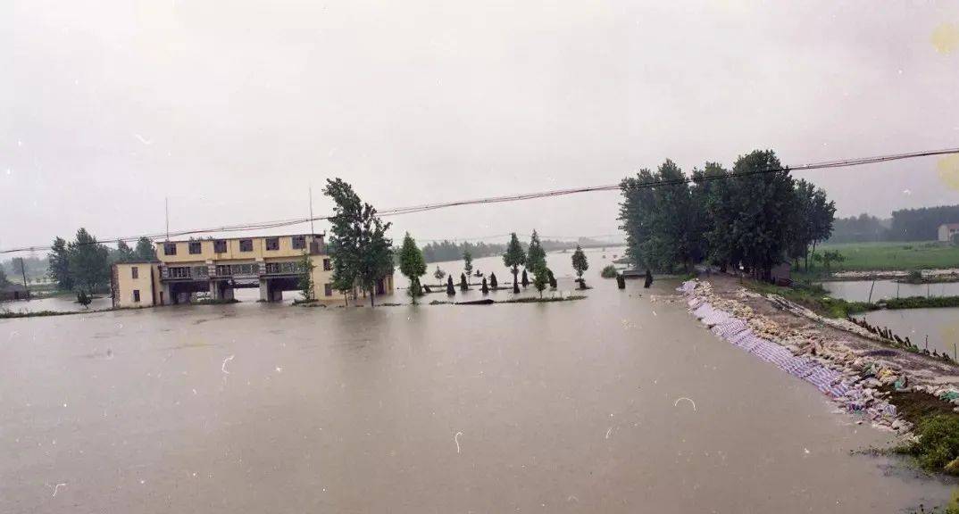 正版皇冠信用盘出租_1991年:国际倒爷正版皇冠信用盘出租,点子大王,下岗初潮,华东水灾和出租车市场化