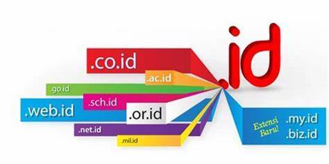 皇冠信用网如何注册_域风网:什么是印尼.id域名,如何注册皇冠信用网如何注册?