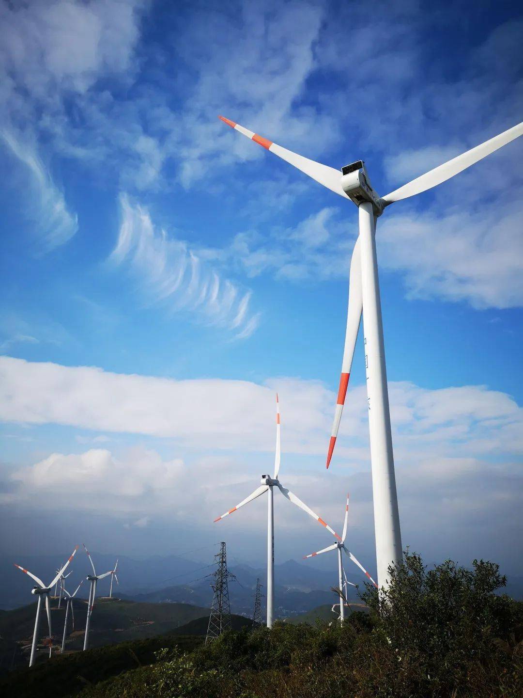 皇冠信用网登3出租_南安诗词学会赴翔云采风创作作品展(二)