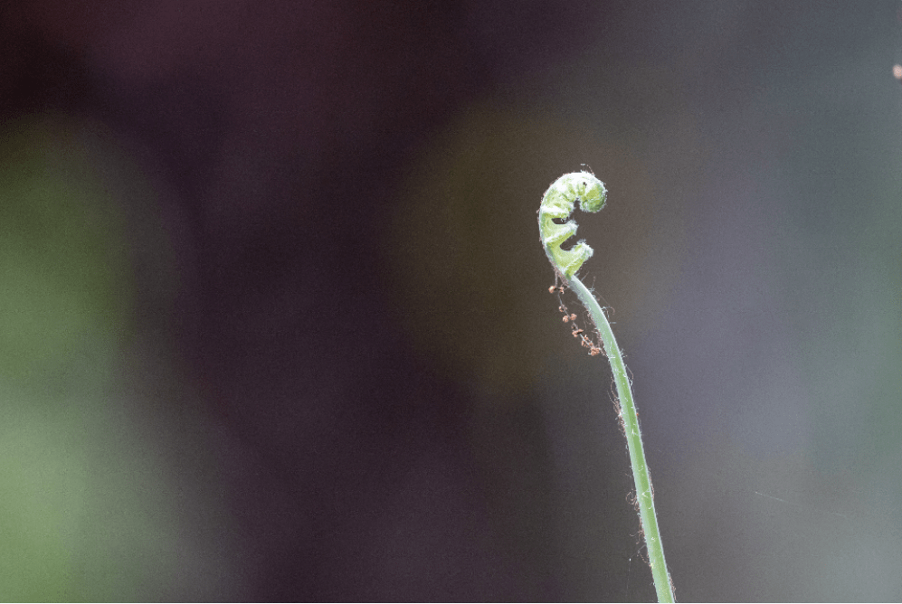 皇冠信用网在线开户_期权开户考试是在线上考试吗皇冠信用网在线开户?要怎么做?