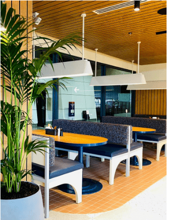 世界杯足球会员注册_超20万人申请世界杯足球会员注册!想成为会员要等40年!揭秘:墨尔本这家俱乐部为何这么火爆!