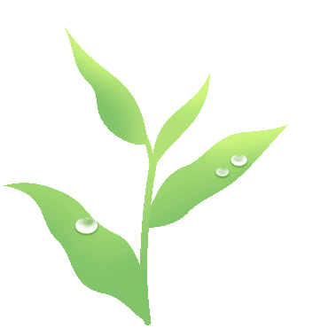 好世界杯现场直播_安康好世界杯现场直播,敬世界一杯好茶