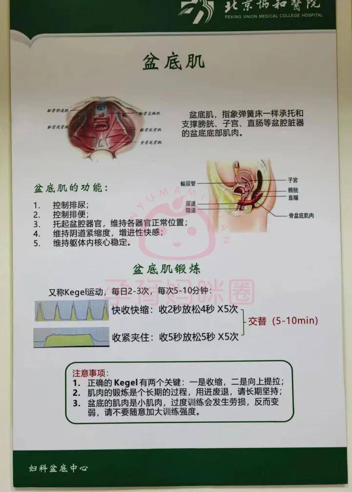 皇冠信用网押金多少_北京协和医院普通部住院押金多少?出院手续结算流程、出生证明、产后复查皇冠信用网押金多少!