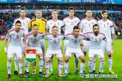 德国VS匈牙利_欧洲杯 德国vs匈牙利德国VS匈牙利!!