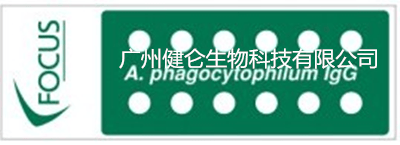 hga030hga050怎么注册_HGA无形体IgG抗体检测试剂盒(IFA荧光玻片法)