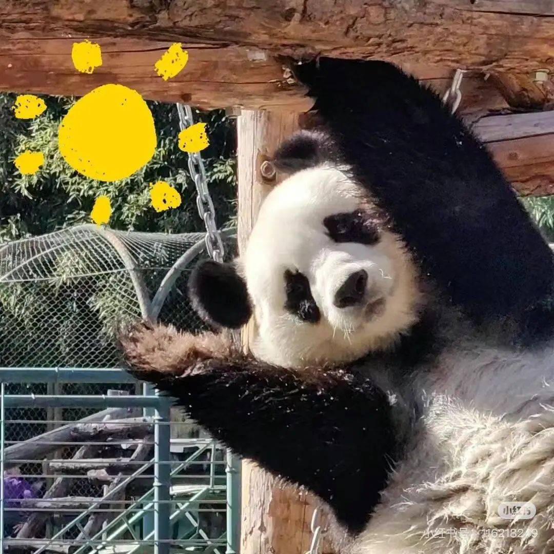 皇冠信用网如何注册_断崖式暴跌皇冠信用网如何注册!这波太猛!杭州人挺住了