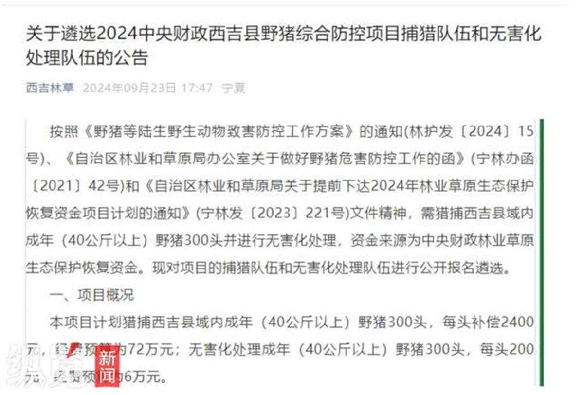 皇冠信用网出租_赏金猎人团已在南京捕获133头野猪皇冠信用网出租,还差67头才能拿到每头二三千元补贴,他们真的很赚钱?