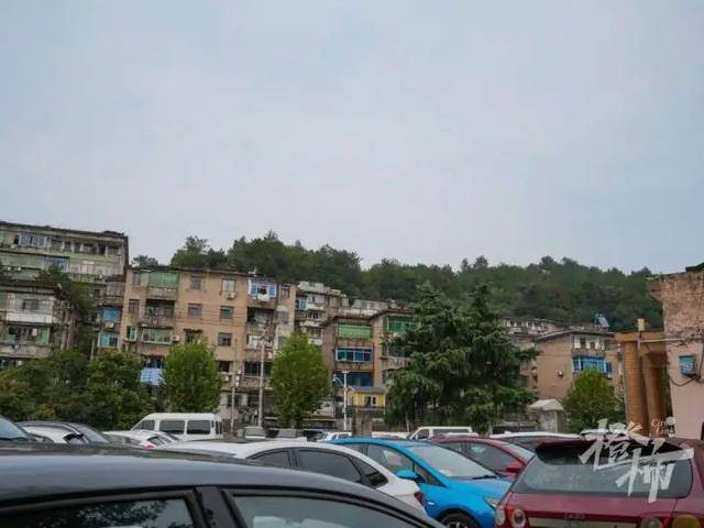 皇冠登3管理出租_江苏一高校发生持刀伤人事件皇冠登3管理出租,致8死17伤,刚刚,警方通报