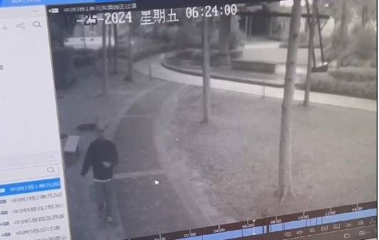 皇冠信用網怎么开账号_广西南宁一小区6只狗疑被毒死皇冠信用網怎么开账号,受害业主称“很谨慎仍遭投毒”,警方建议合并立案