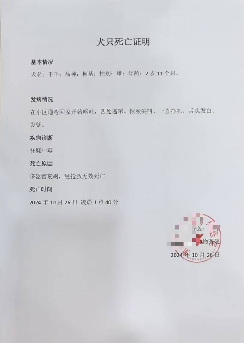 皇冠信用網怎么开账号_广西南宁一小区6只狗疑被毒死皇冠信用網怎么开账号,受害业主称“很谨慎仍遭投毒”,警方建议合并立案