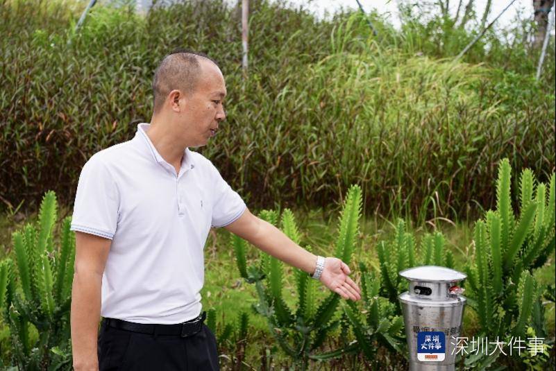 皇冠代理管理端_去大梅沙游泳玩沙皇冠代理管理端,千万别抽烟,2名男子沙滩吸烟被罚