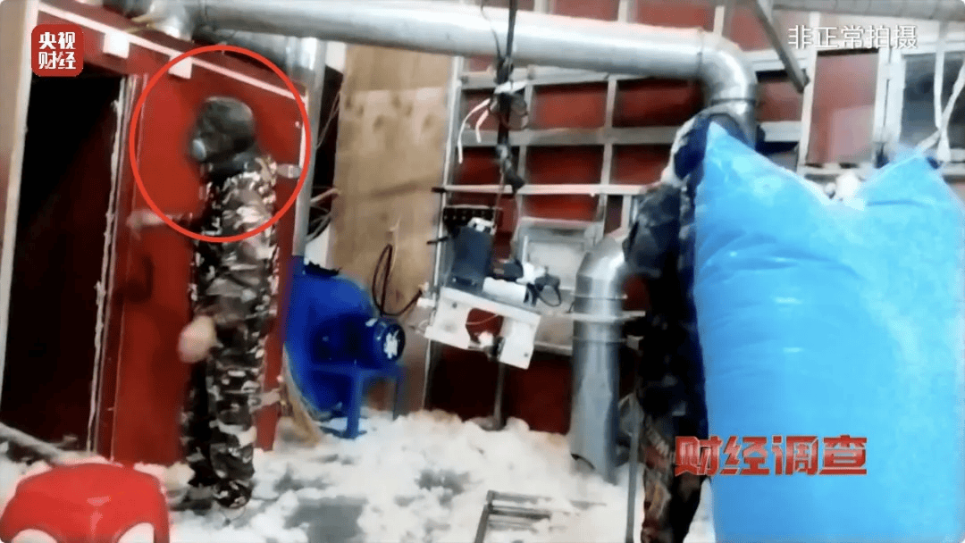 皇冠信用在线注册_热搜第一皇冠信用在线注册!7万件羽绒服含绒量0%!央视曝光:羽绒被也是假的!当地最新通报→