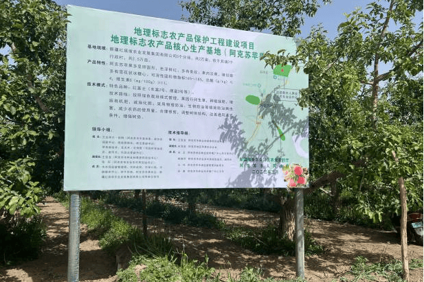 皇冠登3新2管理_卖自家苹果标注“阿克苏”被起诉皇冠登3新2管理,阿克苏地区苹果协会:可提供证据证明原产地,每年会遇到三四千起侵权纠纷