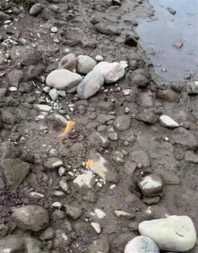 皇冠信用网在线注册_四川达州一河水里现可燃气体皇冠信用网在线注册,当地:非燃气泄漏,正在检测中