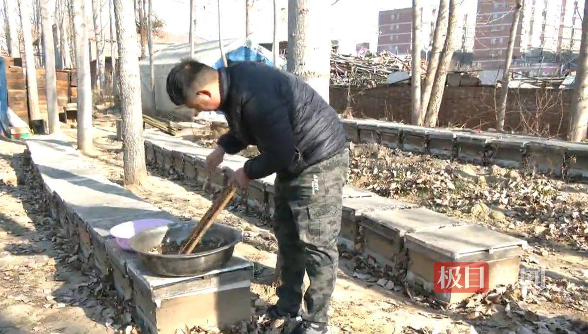 皇冠信用网注册开通_石家庄一蜂农7吨蜂蜜滞销:给母亲治病错过了最佳销售时机皇冠信用网注册开通,盼大家伸出援手