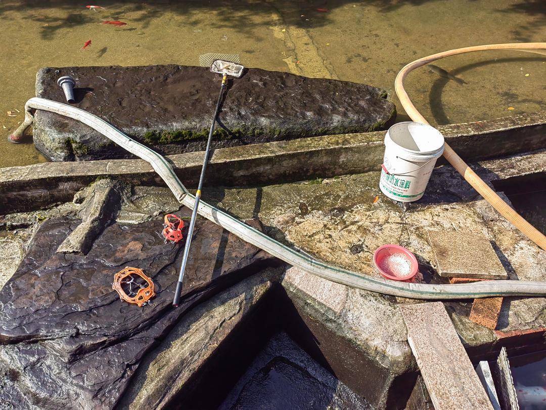 皇冠比分直播_重庆观音桥步行街观光鱼突然大量死亡皇冠比分直播,死鱼装满三十余编织袋 警方:正在调查