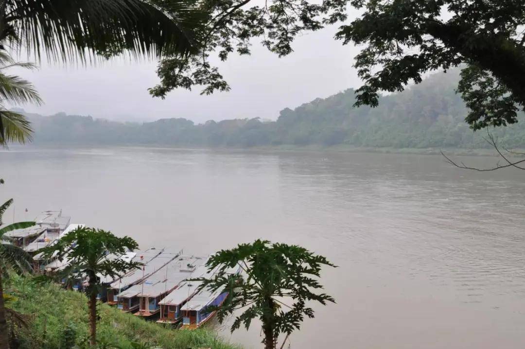 皇冠app_俄罗斯警钟敲响!中国需提防越南老挝柬埔寨皇冠app,三国是否会成“白眼狼”?