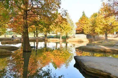 皇冠信用网注册_美国天塌了!美智库公开最新报告皇冠信用网注册,第一级风险再次确定,信号强烈