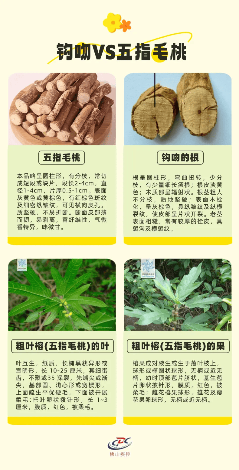 电子竞技
_一锅汤放倒佛山一家6口 警惕:此物剧毒电子竞技
!