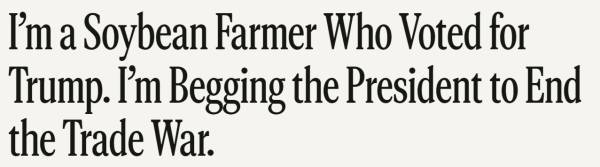 球会友谊赛
_中企抢购40船巴西大豆球会友谊赛
,美国豆农“悬着的心终于凉了”