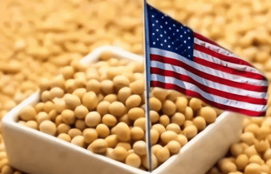 介绍个信用網网址
_对华出口下降70%!特朗普大打出手介绍个信用網网址
,没想到第一个倒下的竟是自己人