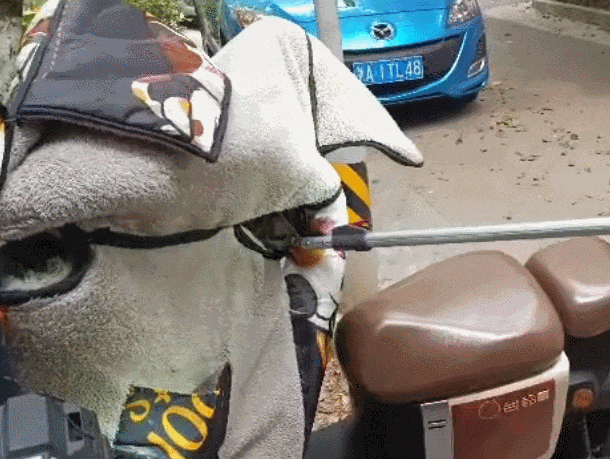 皇冠信用网庄家
_低头一看皇冠信用网庄家
,杭州小伙“魂都吓飞了”!正处于活跃期,消防重要提醒