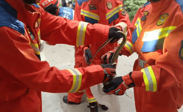 皇冠信用网庄家
_低头一看皇冠信用网庄家
,杭州小伙“魂都吓飞了”!正处于活跃期,消防重要提醒