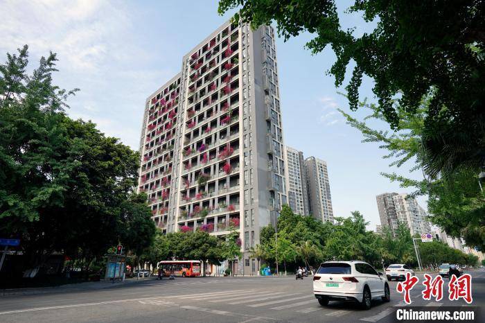 皇冠信用网哪里申请
_成都一栋30层高居民楼被三角梅扮靓