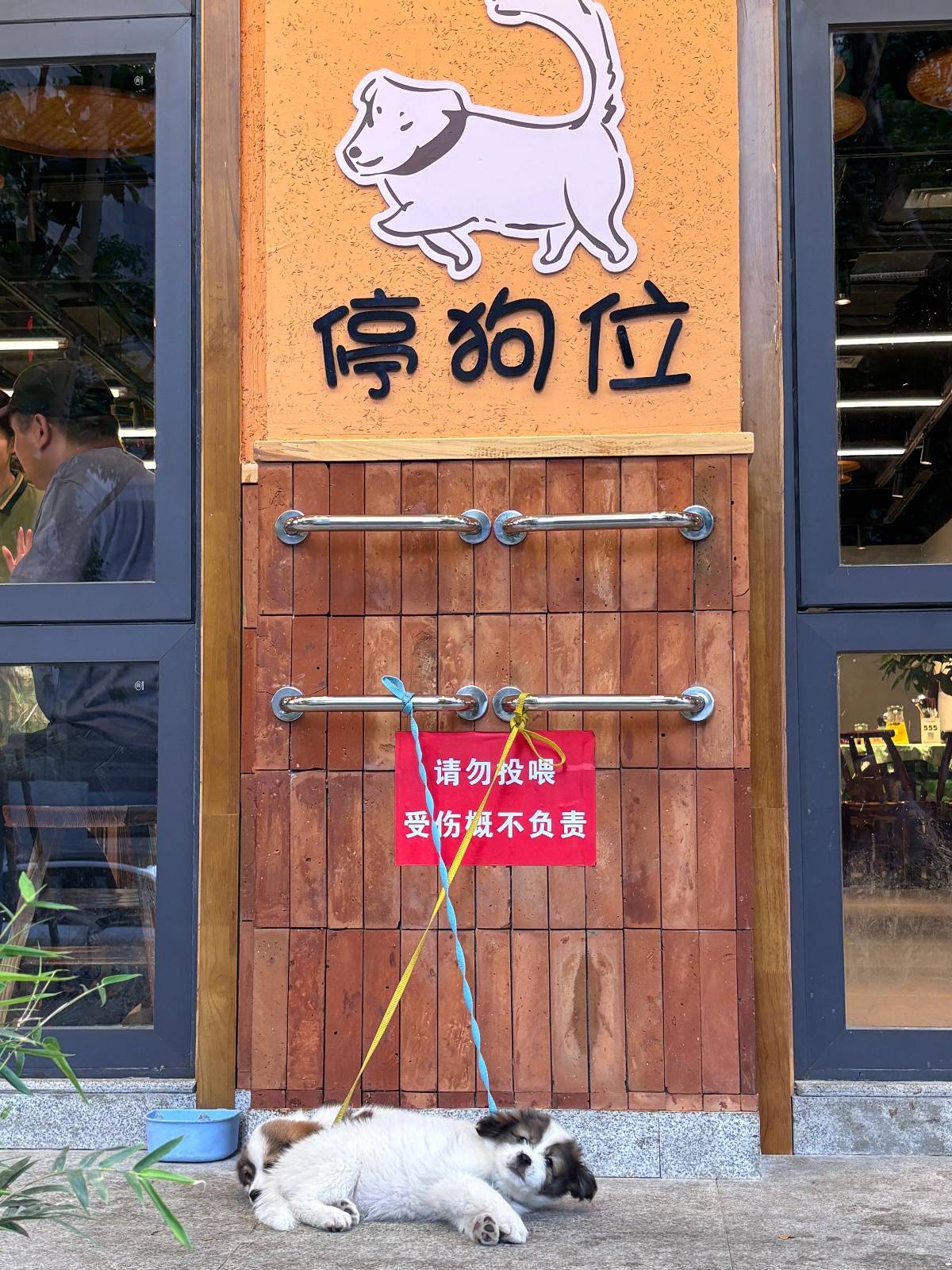 皇冠信用网怎么注册
_“先停狗再干饭!”武汉多个商铺现“停狗位”皇冠信用网怎么注册
,商家称为吸引宠主,但有宠主表示担心