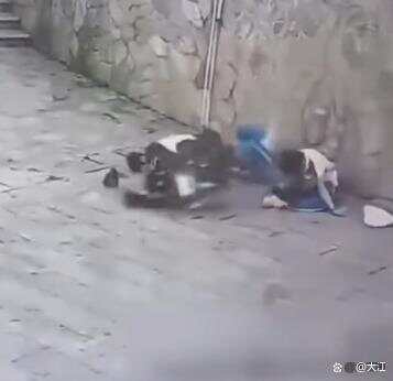 皇冠信用网代理注册 
_湖南两高中生骑电动车撞围墙身亡皇冠信用网代理注册 
,两人均未佩戴安全头盔 家属称系改装车,最高时速100公里