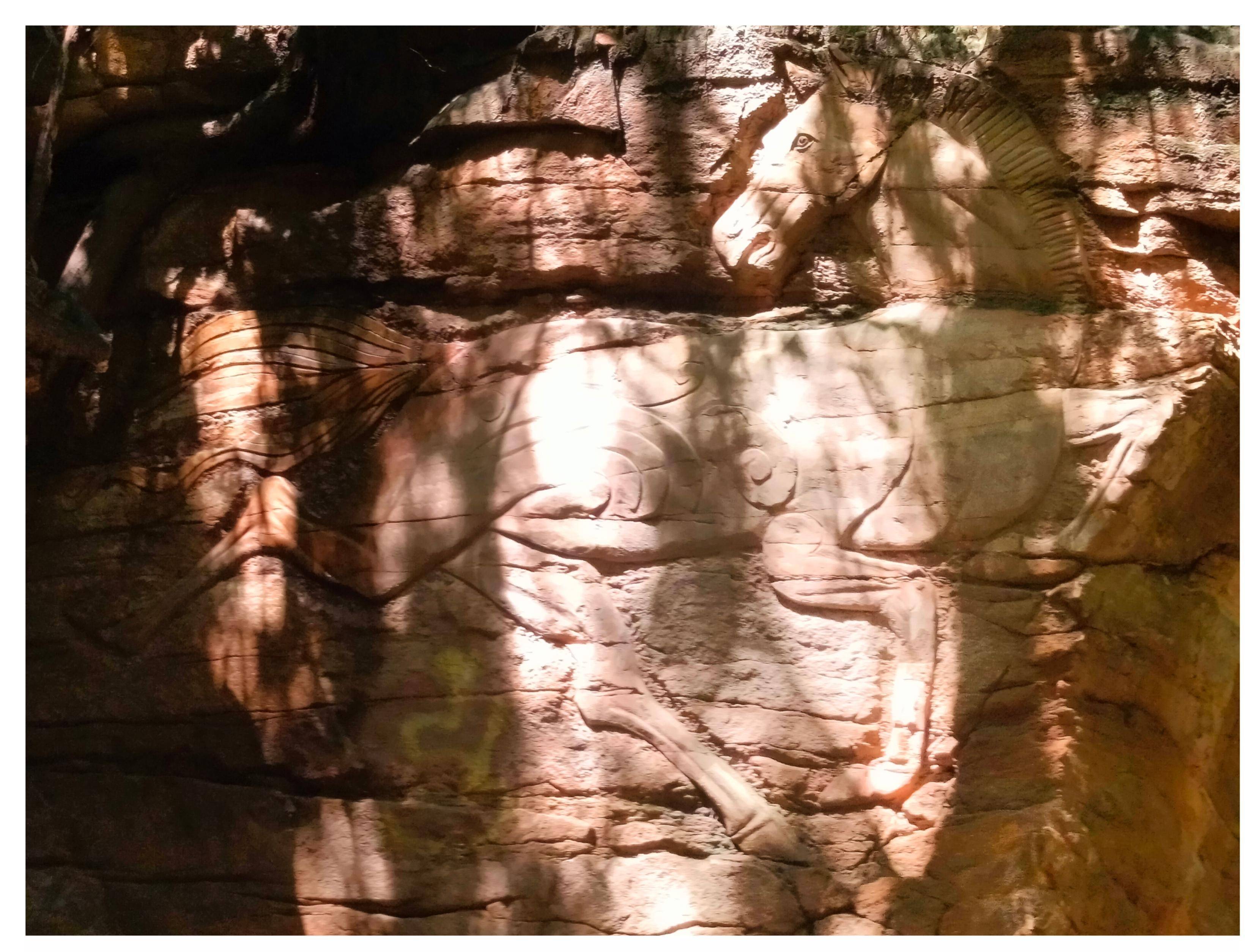 巴西乙组联赛
_流传在北京八大处的传说巴西乙组联赛
，女孩17年后再讲金马驹的故事