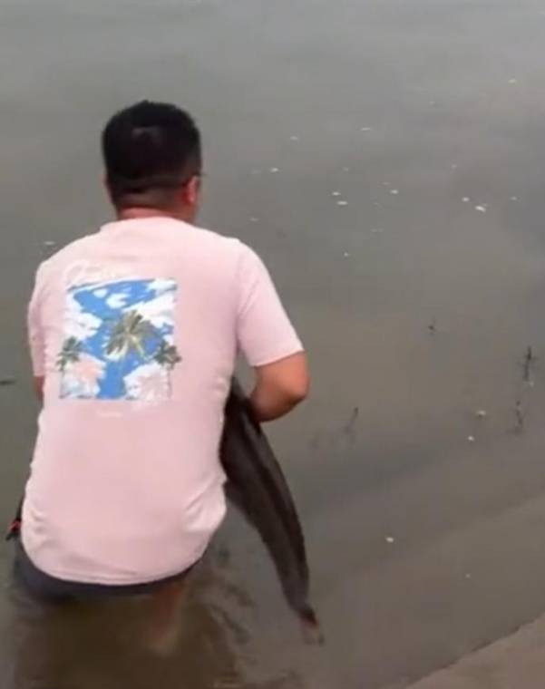 足球平台出租代理
_四川一男子钓1米长大鱼后放生足球平台出租代理
,围观者高呼“卖给我”,回应:钓鱼是为娱乐