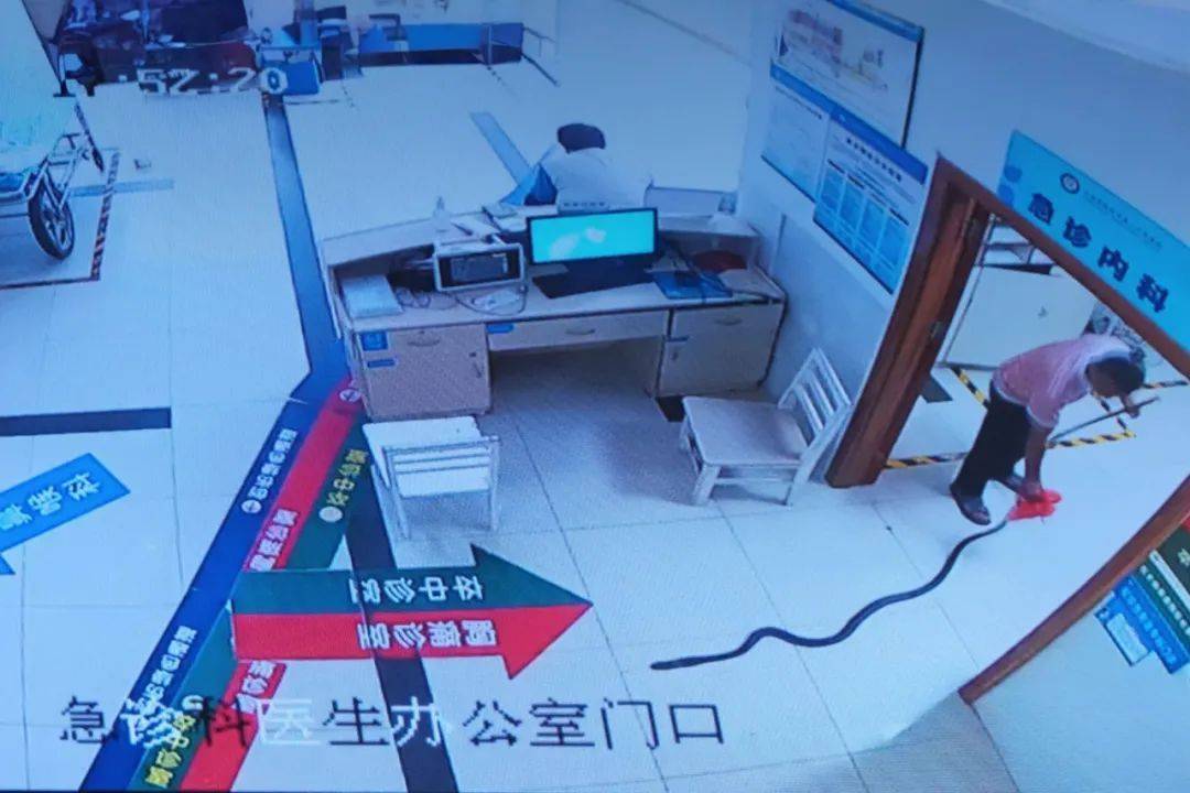 谢周三vs利兹联
_眼镜王蛇咬伤老人谢周三vs利兹联
,家属拖两米多长的“凶手”冲进医院!“拎蛇就医”可取吗?