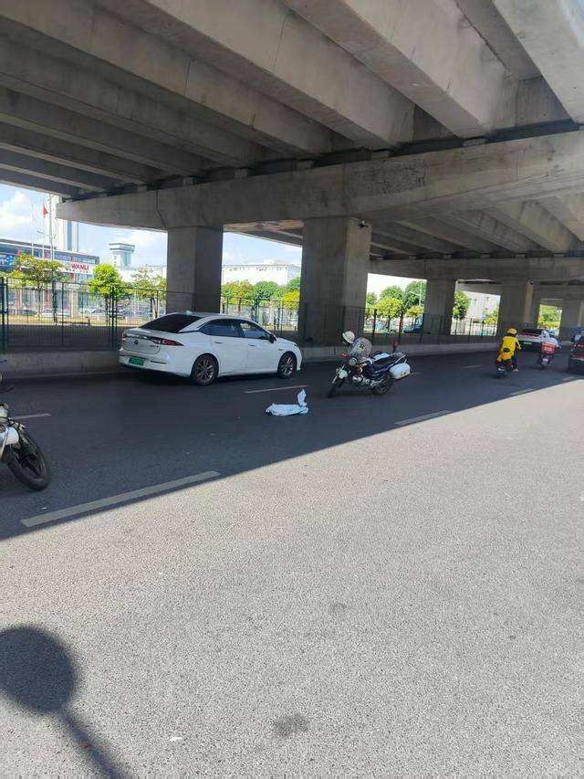 诺和华 vs 特伦托_跑腿骑手送鳄鱼 半道发现是活的