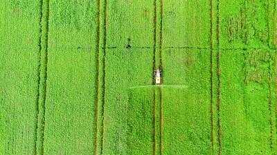 皇冠信用盘会员账号_在新疆皇冠信用盘会员账号，一路风景一路歌